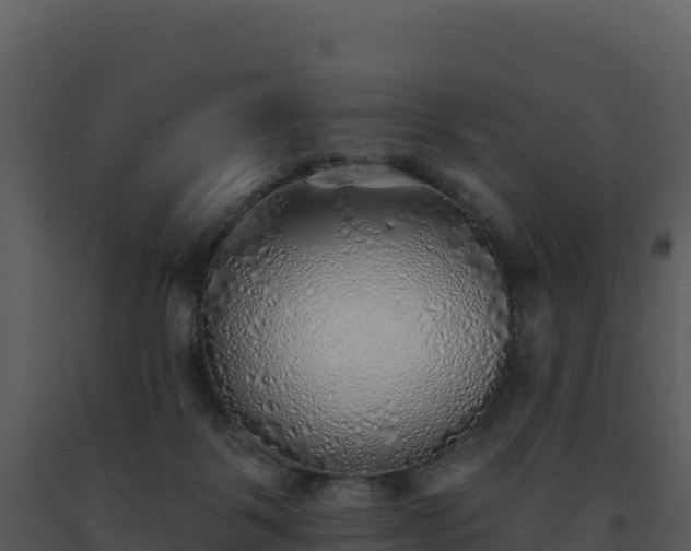 X0000093500123200710191256