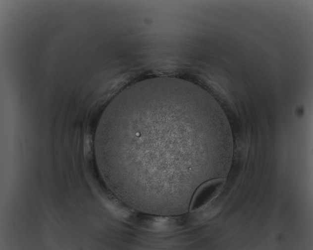 X0000093500130200710191256