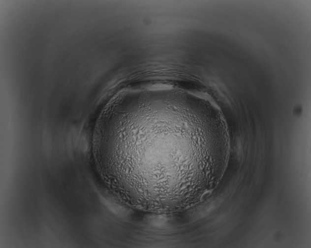 X0000093500131200710191256