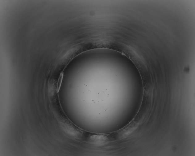 X0000093500133200710191256