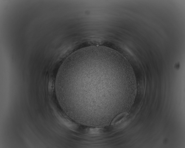 X0000093500134200710191256