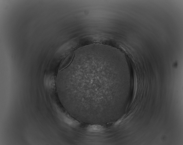 X0000093500137200710191256
