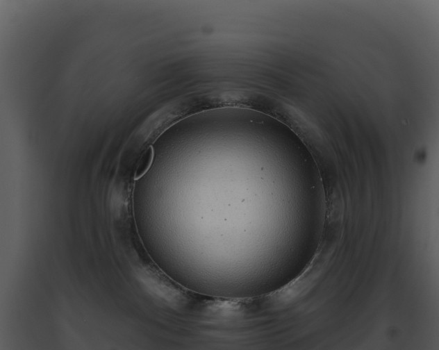 X0000093500140200710191256