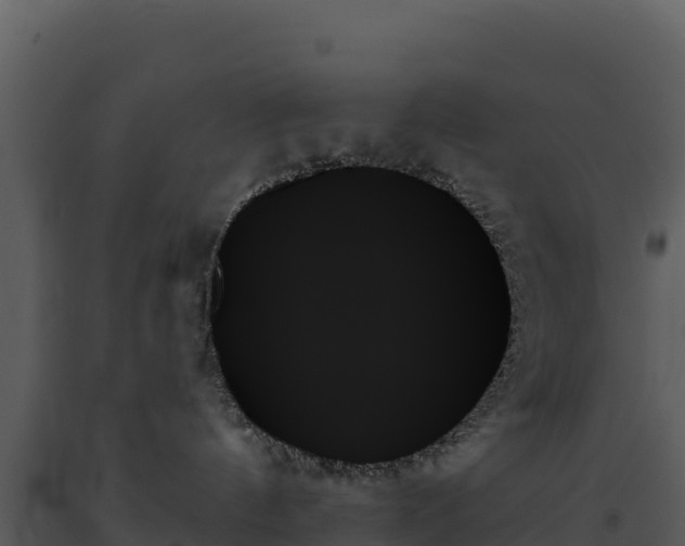 X0000093500144200710191256