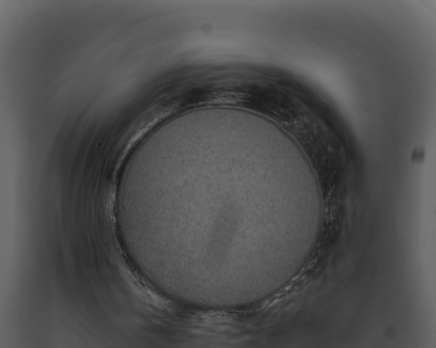 X0000093500146200710191256