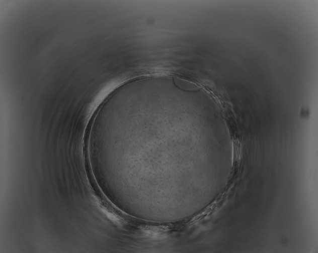 X0000093500147200710191256