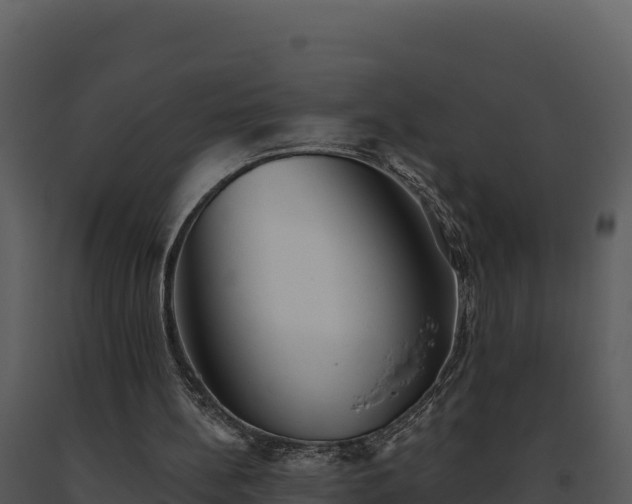 X0000093500148200710191256