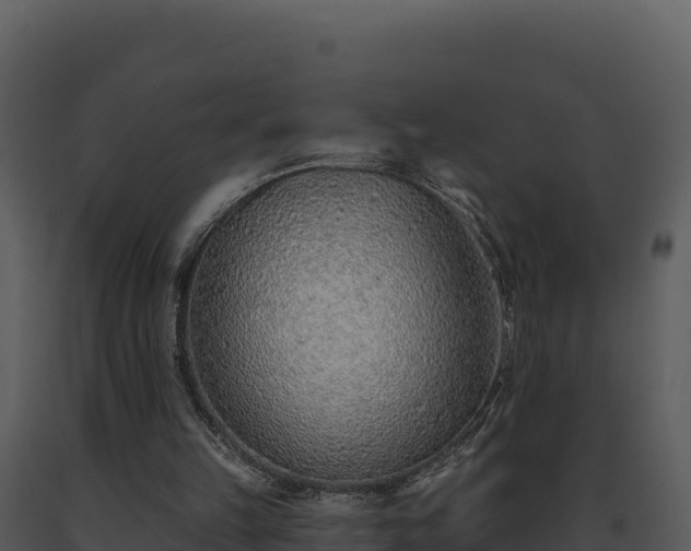 X0000093500149200710191256