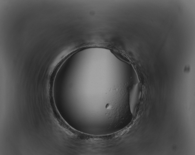 X0000093500150200710191256