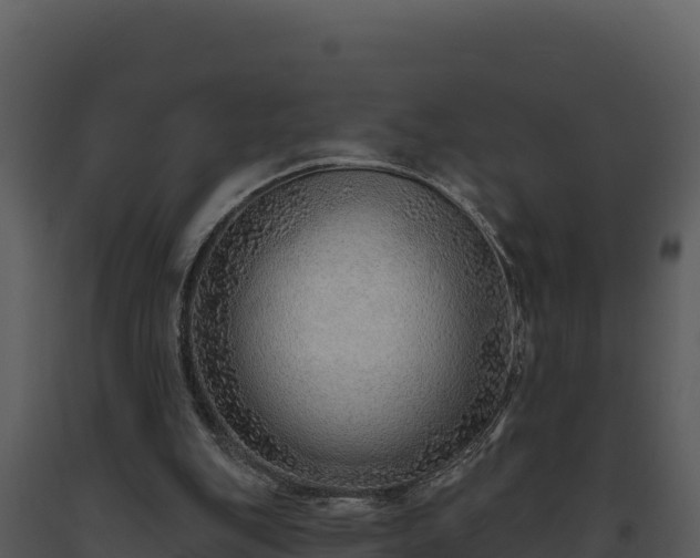 X0000093500151200710191256
