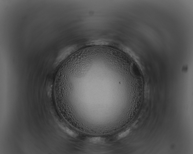 X0000093500153200710191256