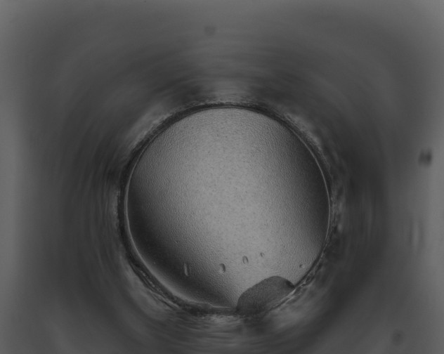 X0000093500154200710191256