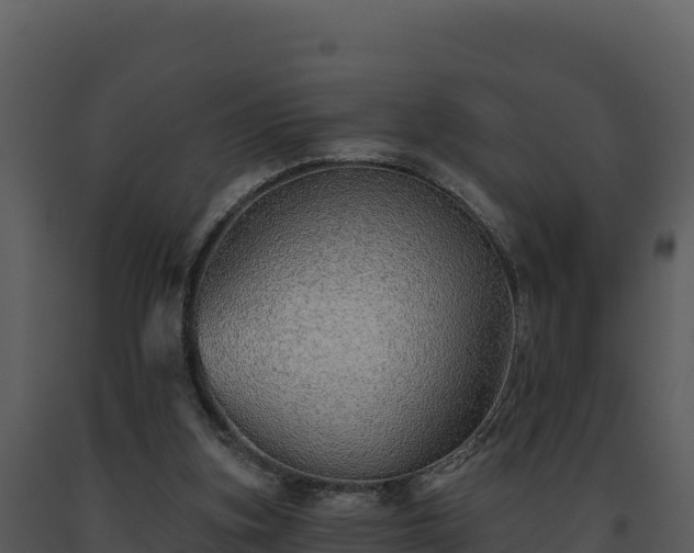 X0000093500155200710191256
