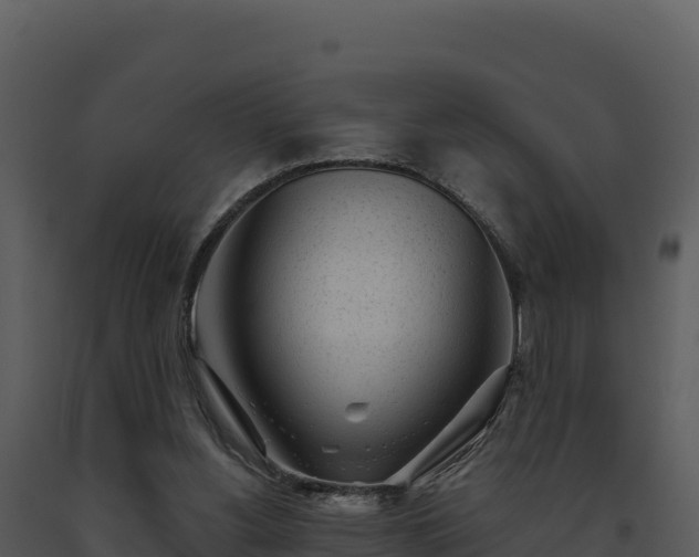 X0000093500156200710191256
