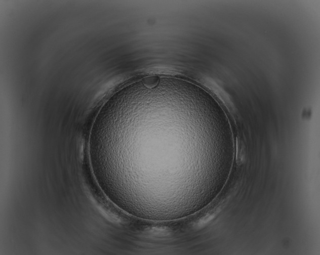 X0000093500157200710191256