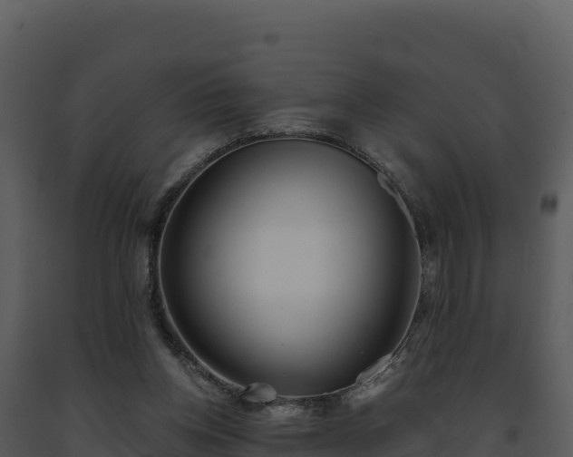 X0000093500158200710191256