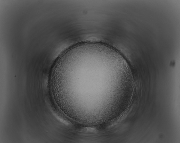 X0000093500159200710191256
