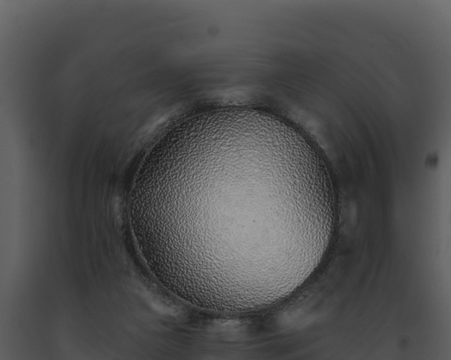 X0000093500161200710191256