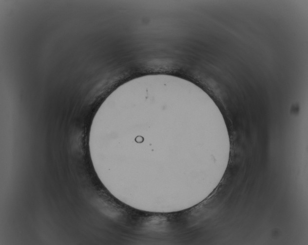 X0000093500162200710191256
