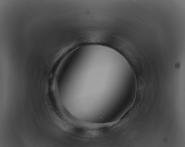X0000093500164200710191256