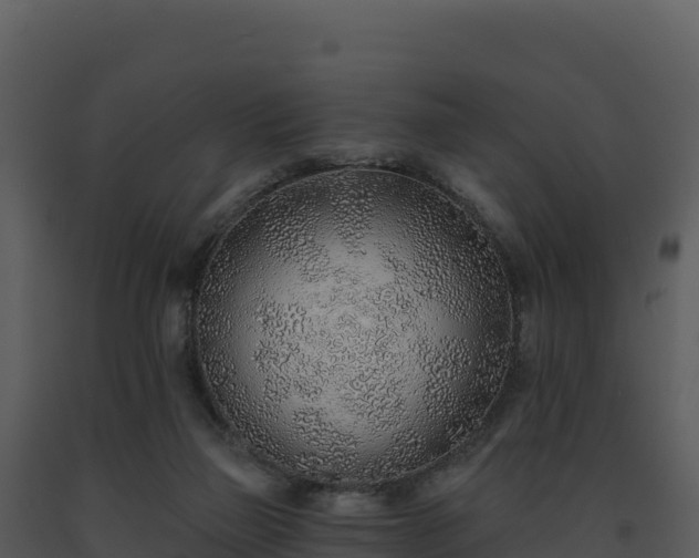 X0000093500165200710191256