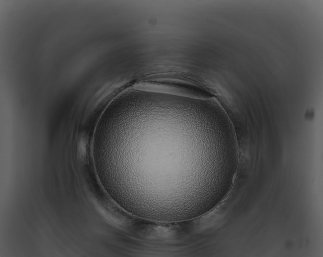 X0000093500166200710191256