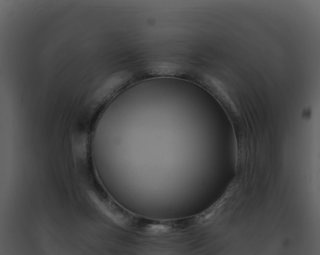 X0000093500167200710191256