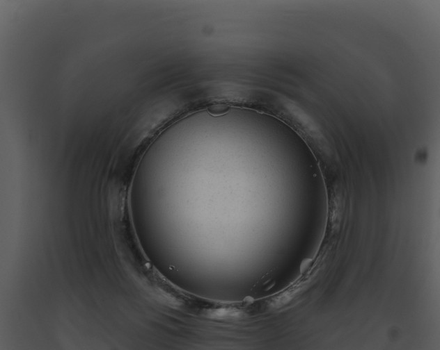 X0000093500168200710191256