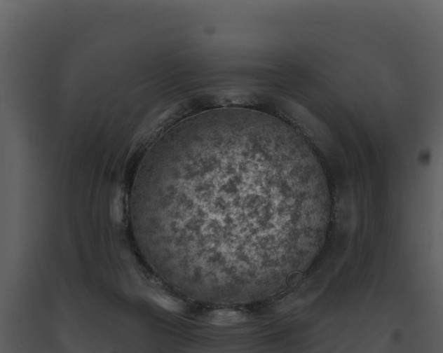 X0000093500169200710191256