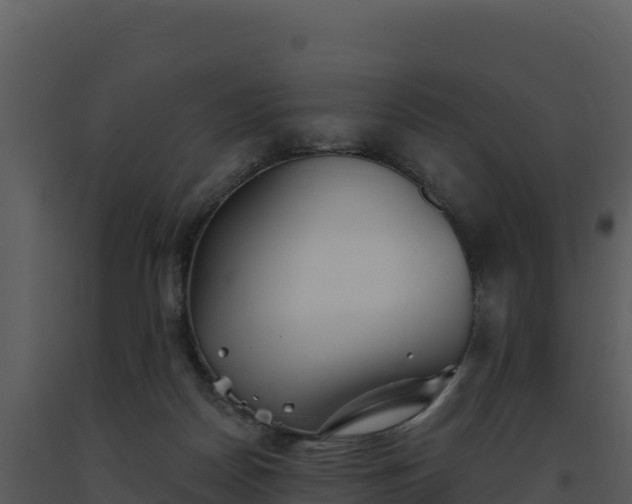 X0000093500170200710191256