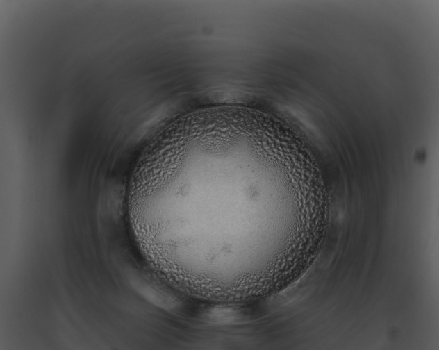 X0000093500171200710191256