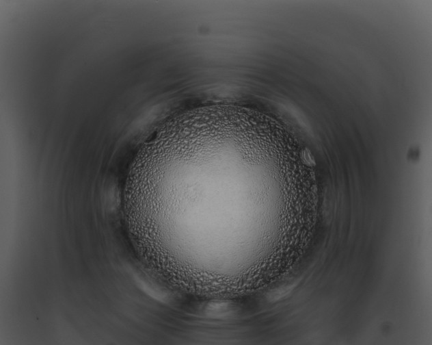 X0000093500173200710191256