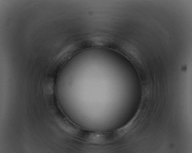 X0000093500174200710191256