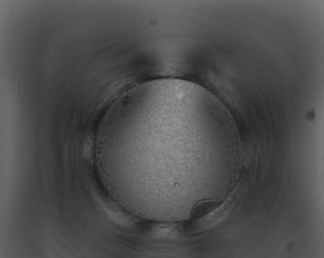 X0000093500175200710191256