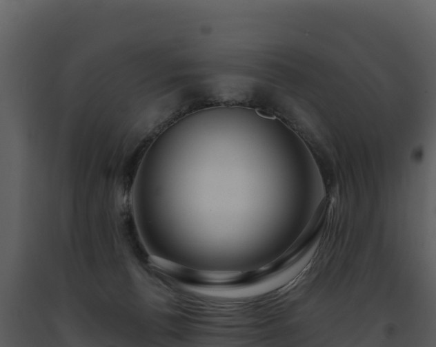 X0000093500176200710191256