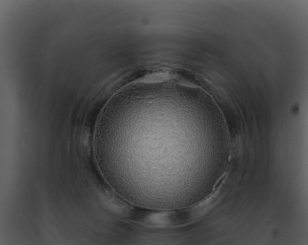X0000093500178200710191256