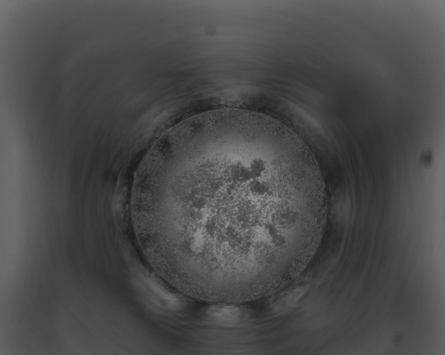 X0000093500181200710191256