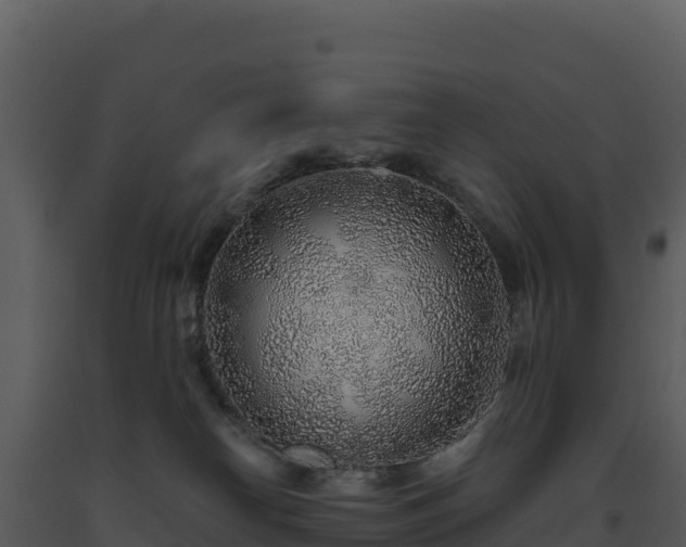 X0000093500182200710191256