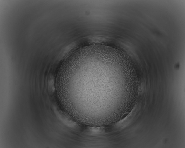 X0000093500187200710191256