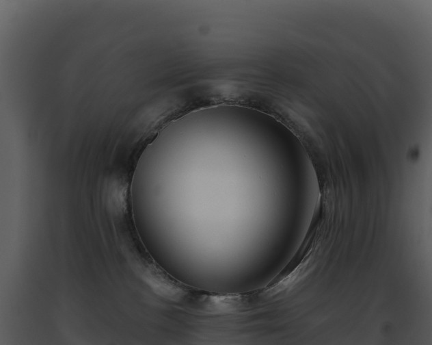 X0000093500188200710191256