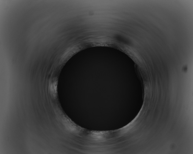 X0000093500190200710191256