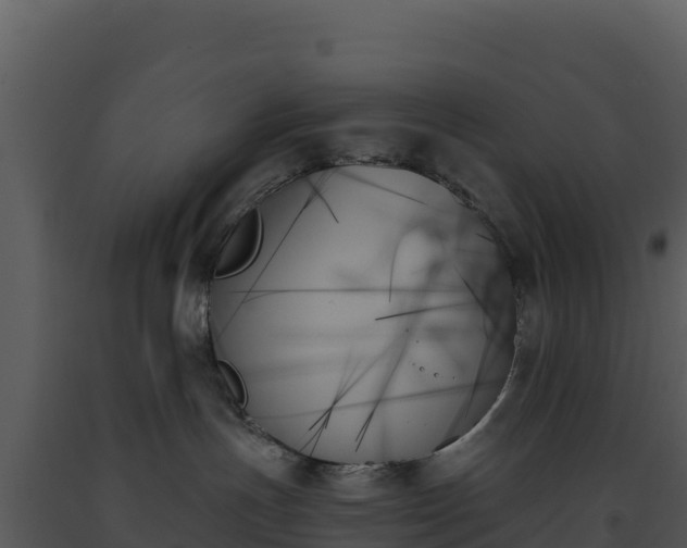 X0000093500191200710191256