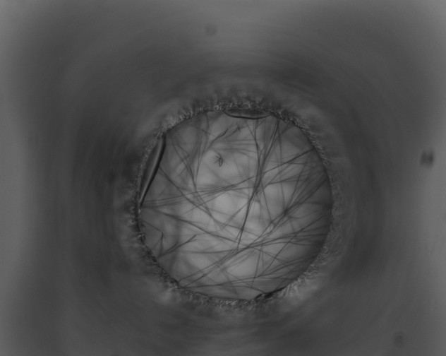 X0000093500192200710191256