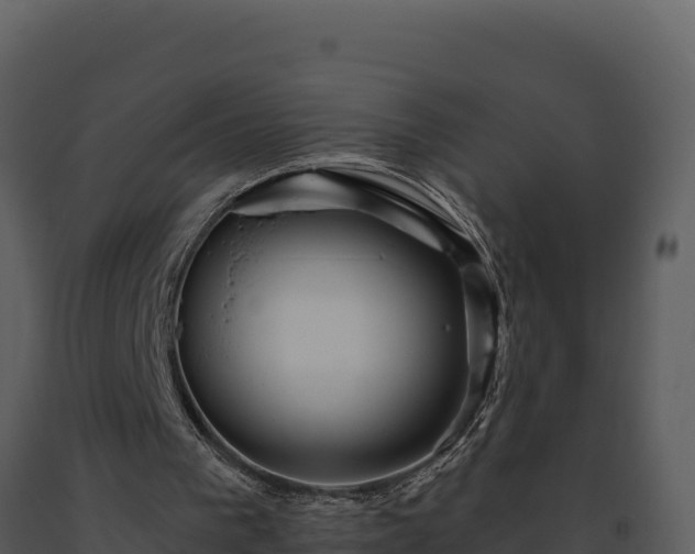 X0000093500193200710191256