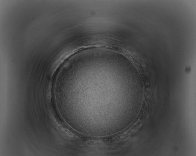 X0000093500194200710191256