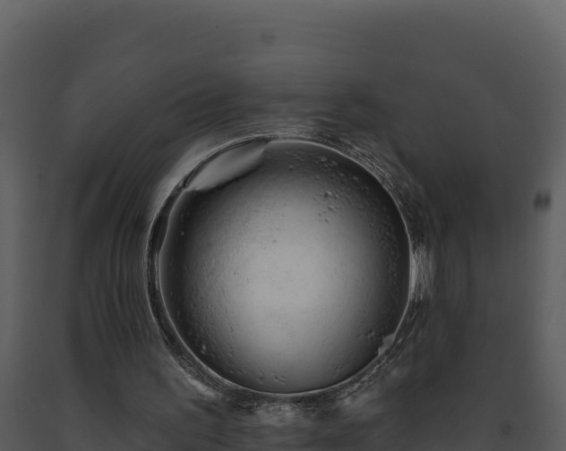 X0000093500195200710191256