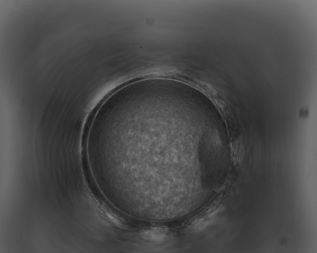 X0000093500196200710191256