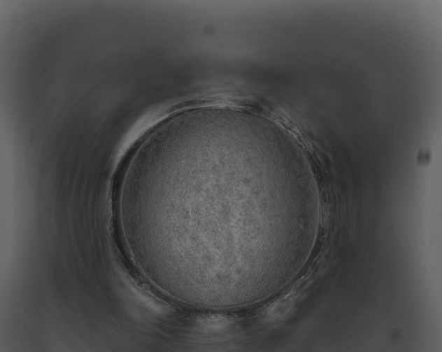 X0000093500198200710191256