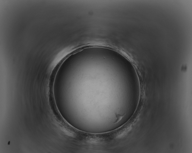 X0000093500199200710191256