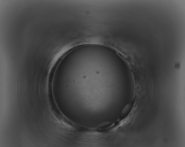 X0000093500200200710191256